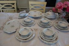 Gelegenheit! Rosenthal Classic Rose Sanssouci Moosrose weiß Speiseservice