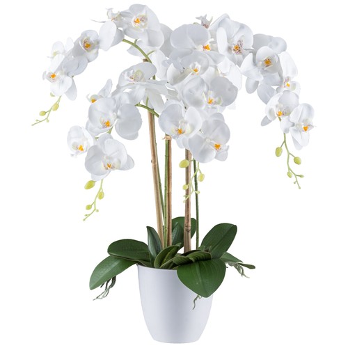 Kunstblume phalaenopsis - kunstblume,