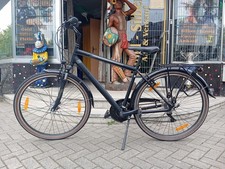 Pegasus Herren Fahrrad