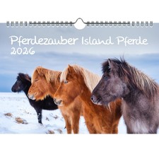 Pferdezauber island pferde - island, din