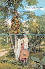 R330581 Meet me at the Papaw