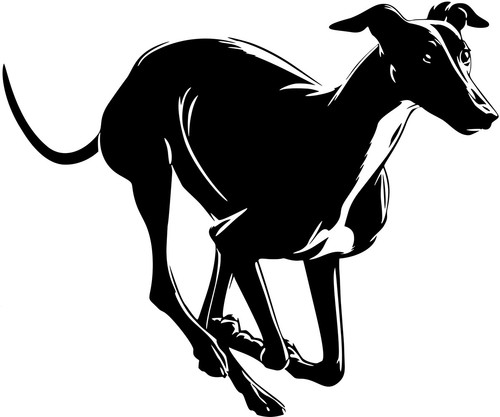 Greyhound aufkleber - aufkleber,