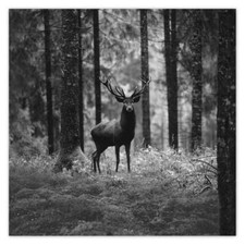 Poster WandTattoo Sticker