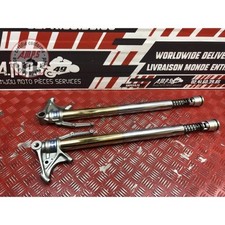 Ohlins Triumph 1050 Speed