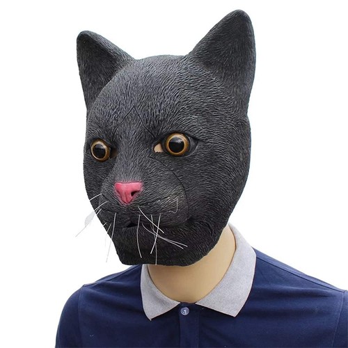 Schwarze katze latex - schwarze, vollkopf