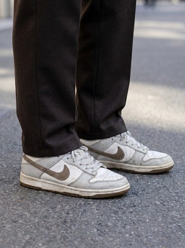 Nike dunk low retro - dunk, se