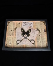 Echter Schmetterling Battus