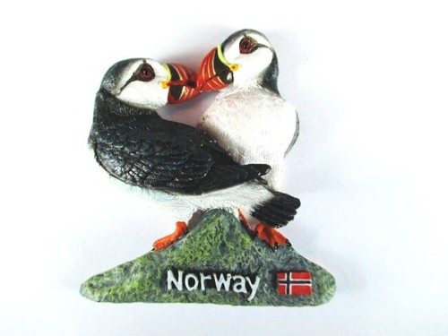 Puffin norwegen - puffin,