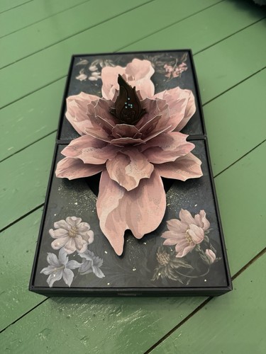 Tomorrowland treasure case - tomorrowland,