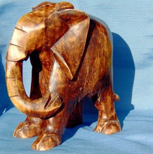 Alter schöner Elefant aus