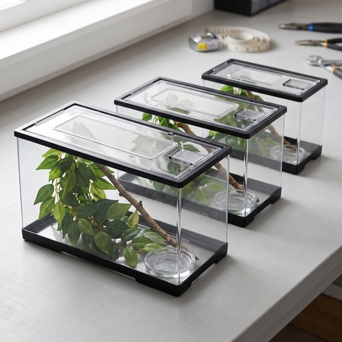 Reptilien terrarium aus - terrarium,