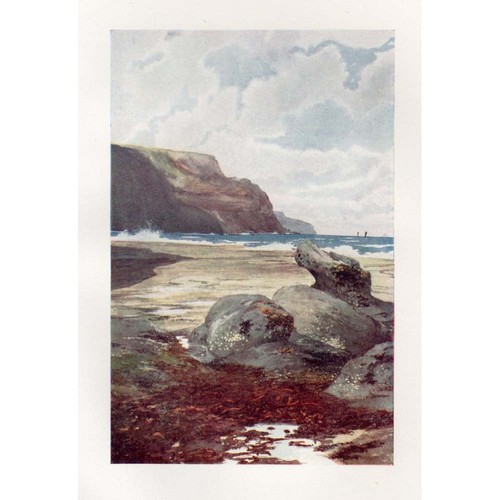 Boulby cliffs yorkshire - boulby,