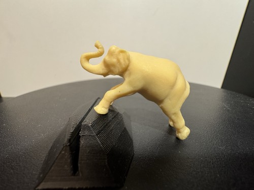 Mek zirkus elefant asi - mek,