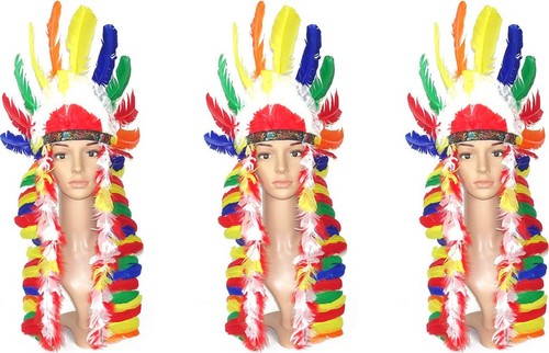 Indianer feder kopfschmuck - feder,