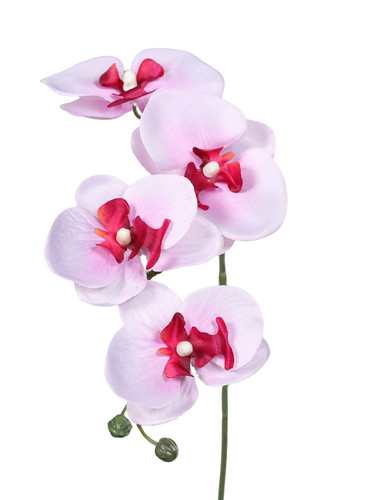 Künstliche orchidee - künstliche,
