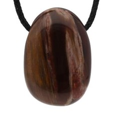 Versteinertes holz - versteinertes,