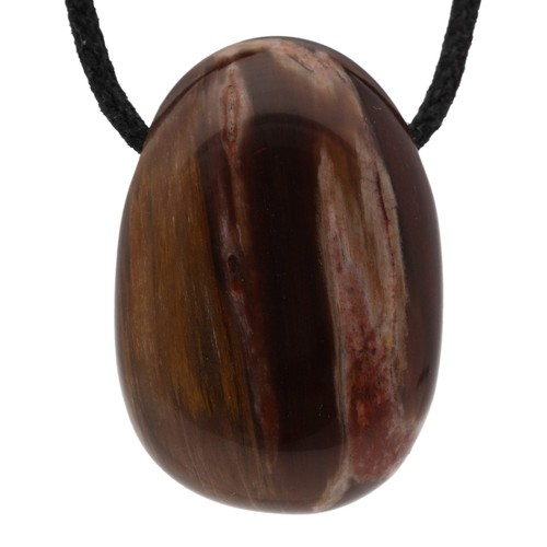 Versteinertes holz - versteinertes,