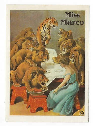 Löwen tiger dompteuse - löwen-tiger-dompteuse, miss