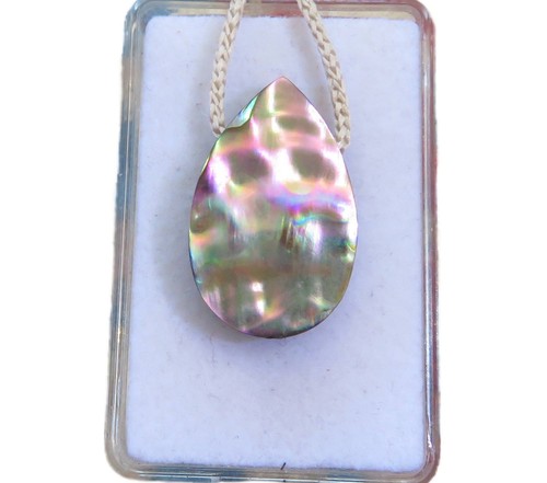 Paua muschel abalone cabochon - paua,