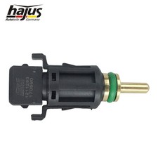 Hajus Temperatursensor