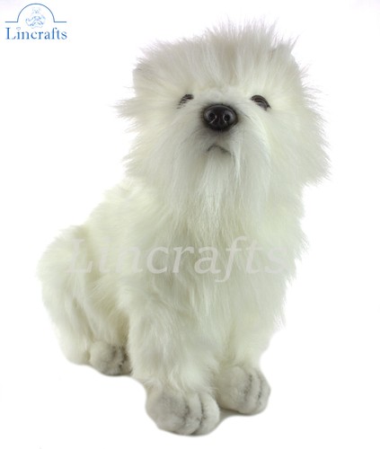 Hansa west highland terrier - highland,
