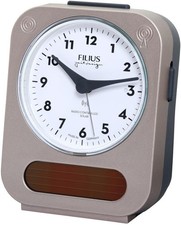 Solar Radio-Controlled Alarm