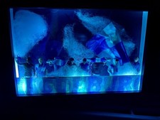 1. FC Magdeburg Ultras LED