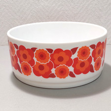 Arcopal France Schüssel