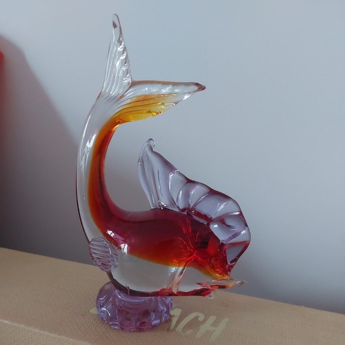 Schöner großer fisch aus - großer,