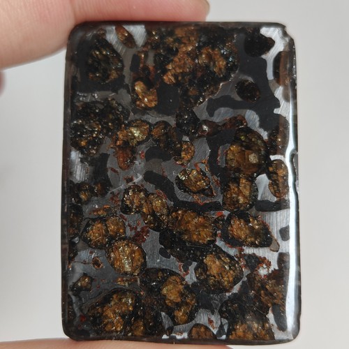 Sericho pallasit meteorit aus - sericho,