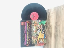 Die Regensburger Domspatzen