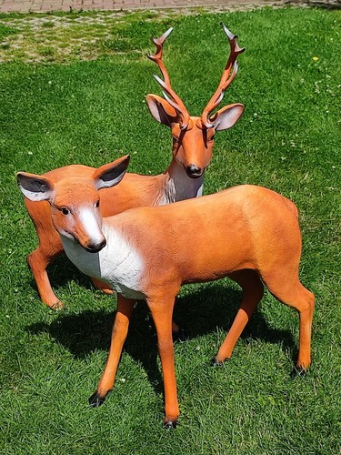 Hirsch und reh lebensgroß - reh,
