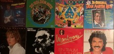 Über 100 Langspielplatten -