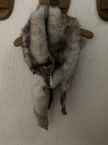Echter silber fuchs kragen - fuchs,