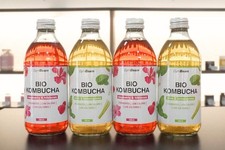 20 x BIO Kombucha Getränk