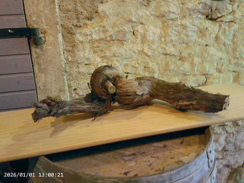 Weinstock herbstdeko holz - weinstock,