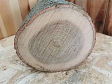 Eiche Drechselholz – 15 cm