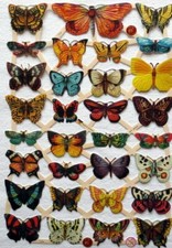 Glanzbilder Oblaten ~  ef 7336