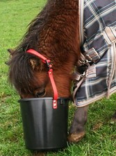 LEBENSMITTELECHT! Shetty Futtereimer Umhängen BioThane  Futtertrog Futtersack
