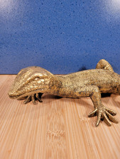 Wanddeko Gecko Deko Figur