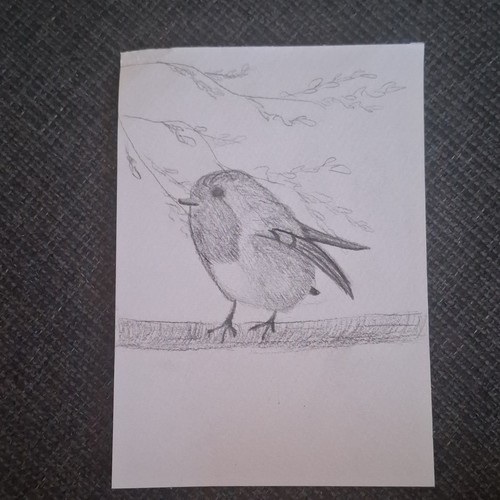 Selbstgezeichnetes bild bird - selbstgezeichnetes, "bird