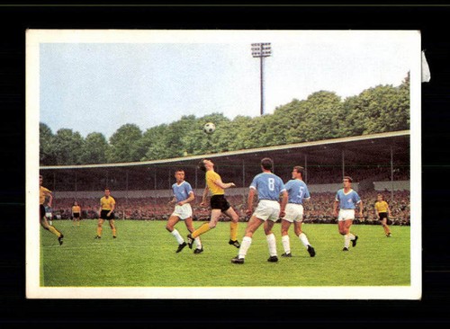 Borussia dortmund tsv 1860 - tsv,