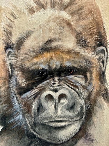 Großes aquarell ernster - aquarell, "ernster