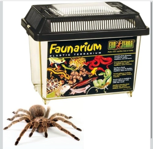 Exo terra faunarium plastic - exo,