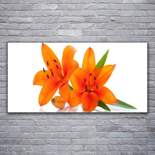 Acrylglasbilder wandbilder aus - wandbilder,