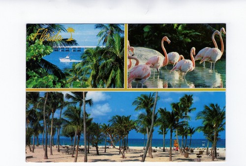 Ansichtskarte florida usa - ak,
