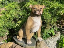 Deko Pit Bull American