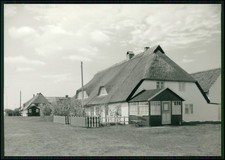 2x Echt Foto AK - Hiddensee Neuendorf Insel Ostsee - Leuchtturm Reetdachhaus ...