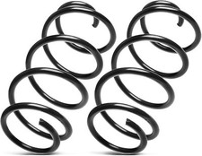 2x Federn Fahrwerksfeder