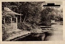 Ak Gniezno Gnesen Posen, Park miejski - 4525590